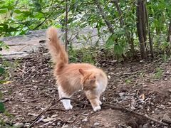 -北京西山国家森林公园