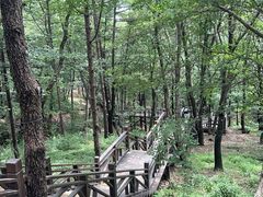 -沂蒙山旅游区龟蒙景区