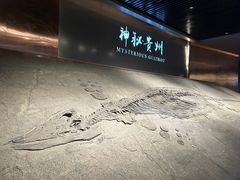 -贵州省地质博物馆
