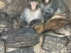 -北京市海淀外国语实验学校