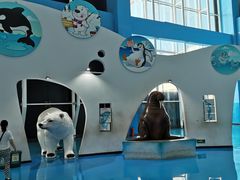 -泉城欧乐堡海洋极地世界