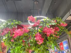 大堂-九记潮汕现切鲜牛肉自助火锅(新开铺店)