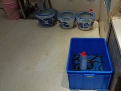 -元银甲·湖北地标美食(汉阳店)