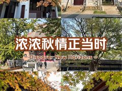 -苏州文庙(姑苏区)