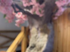 -缘福乡村铁锅炖民宿(八达岭店)