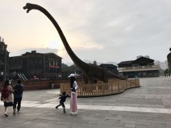 -恐龙探索乐园(磁器口店)