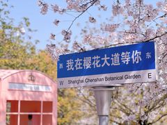 -上海辰山植物园