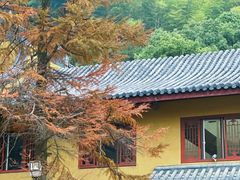 -东明山森林公园