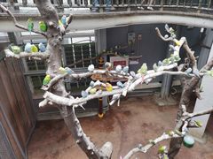 -正佳雨林生态植物园