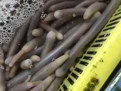 -南沙十九涌渔人码头-南门