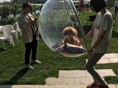 -美家乐农庄·露营·团建(大治路店)