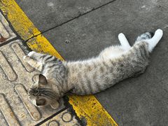 -万达影城(武进万达广场IMAX店)