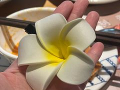 -普叽普叽泰式茶餐厅(港汇店)