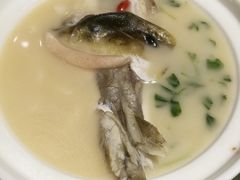 -肆月河豚·新淮扬(金融街店)