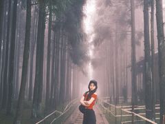 -玉苍山国家森林公园