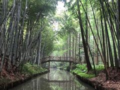 -同里国家湿地公园