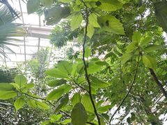 -石家庄市植物园