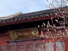 -八大山人梅湖景区