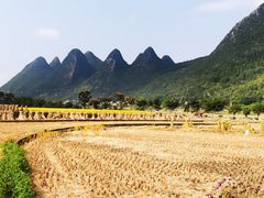 -万峰林风景区