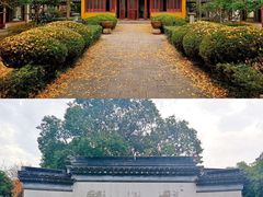 -盘门景区