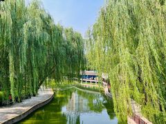 -团结湖公园
