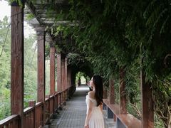 -池杉湖湿地公园