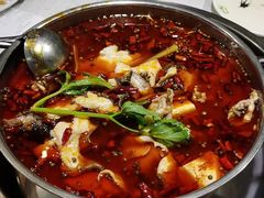 -蛙蛙鸡冷锅鱼(驷马桥店)