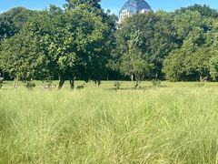 -艾溪湖湿地公园