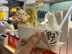 -野人先生现做冰淇淋(西安赛格店)