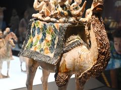 -陕西历史博物馆