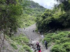 -铁山坪森林公园