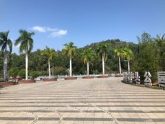 -金鸡岭桥头公园