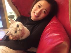 -猫大福·Fortune Cat猫舍(百子湾店)