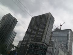 -高·尚领域