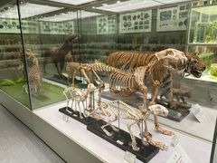 -北京中医药大学-中医药博物馆