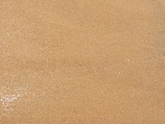 -日照海滨国家森林公园