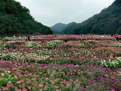 -广州市石门国家森林公园