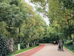 -洛龙公园