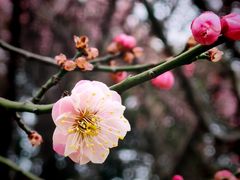 -渭河城市绿地运动公园