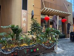 -金鸭季·北京烤鸭(深业上城店)