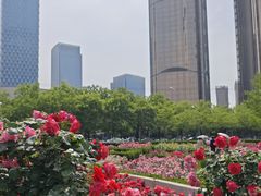 -大望京公园