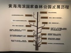 -黄海国家森林公园