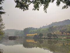 -南国桃园旅游度假区