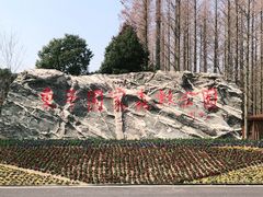 -东平国家森林公园