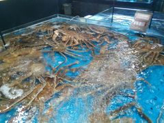 -徐记海鲜(汉城湖|太奥店)