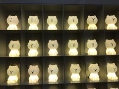 -line friends(明洞旗舰店)