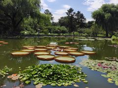 -国家植物园南园