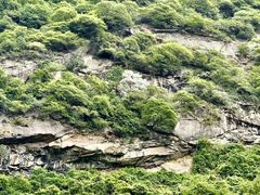 -少华山国家森林公园