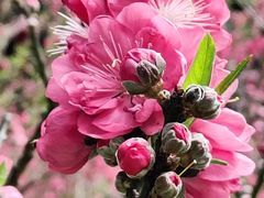 -广州市白云山风景名胜区