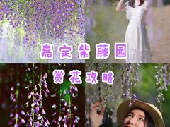 -嘉定紫藤园
